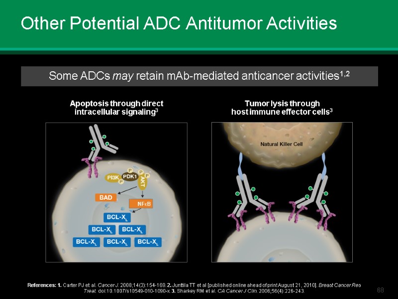 Other Potential ADC Antitumor Activities References: 1. Carter PJ et al. Cancer J. 2008;14(3):154-169.